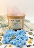 Wax melts Escudo de verano