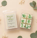 Wax melt tableta Escudo de verano